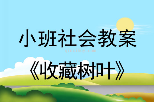 小班社会收藏树叶教案