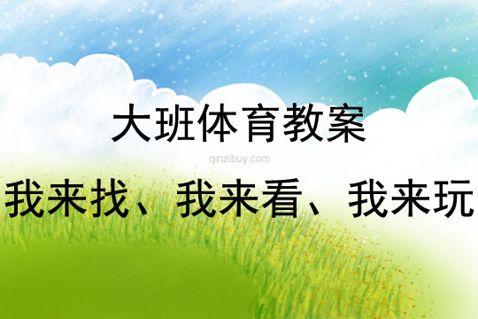 大班益智游戏活动教案：我来找、我来看、我来玩教案