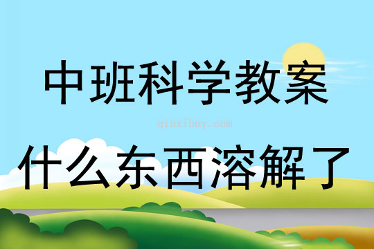 中班科学活动什么东西溶解了教案反思