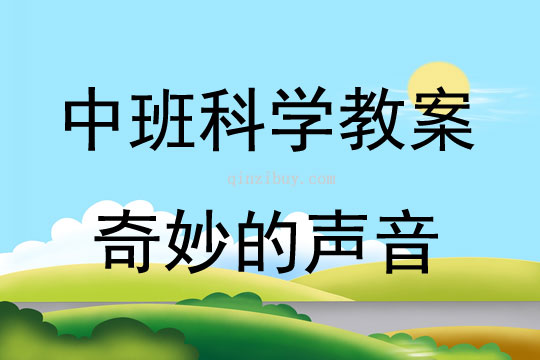 中班科学奇妙的声音教案反思