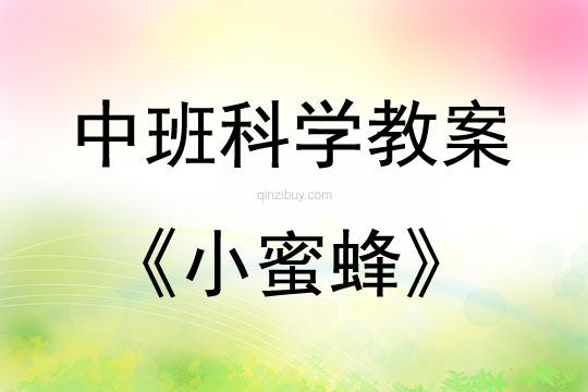 中班科学活动教案：小蜜蜂教案