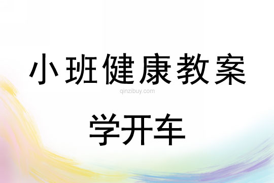 小班健康活动学开车教案反思