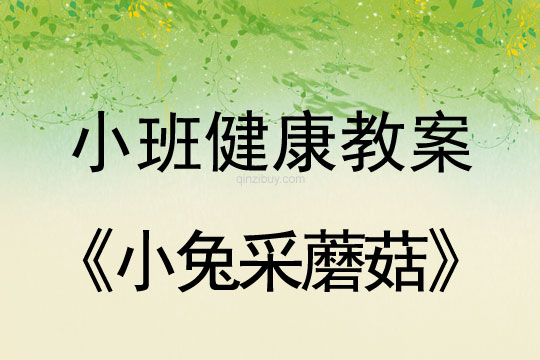 小班健康活动小兔采蘑菇教案反思