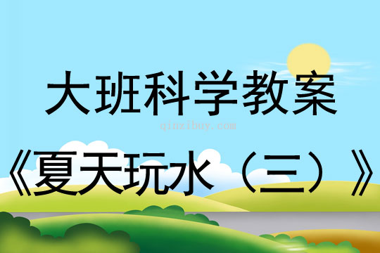 大班科学：夏天玩水（三）大班科学教案：夏天玩水（三）