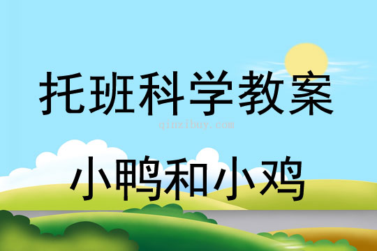 幼儿园托班科学教案：小鸭和小鸡幼儿园托班科学教案：小鸭和小鸡