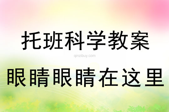 托班科学活动：眼睛眼睛在这里托班科学：眼睛眼睛在这里