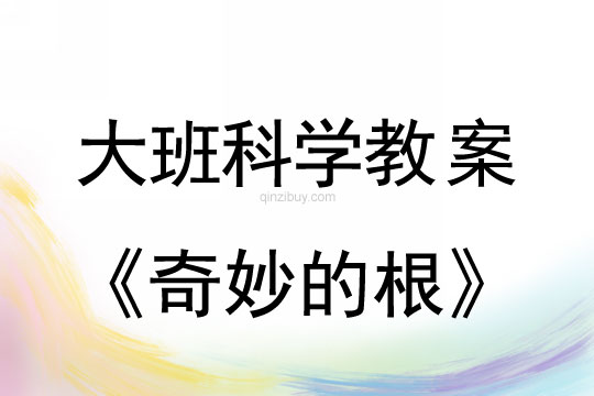 大班科学教案：奇妙的根大班科学教案：奇妙的根