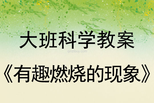 大班科学教案：有趣燃烧的现象大班科学教案：有趣燃烧的现象