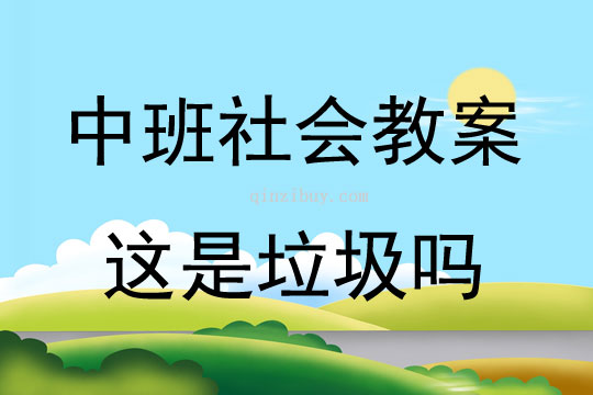 中班社会活动这是垃圾吗教案反思