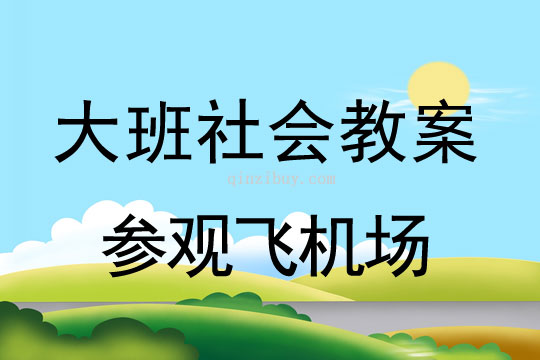 大班社会教案：参观飞机场幼儿园社会教案：参观飞机场