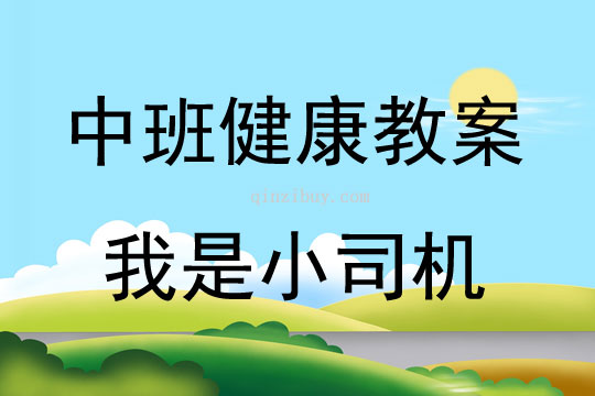 中班健康活动我是小司机教案反思