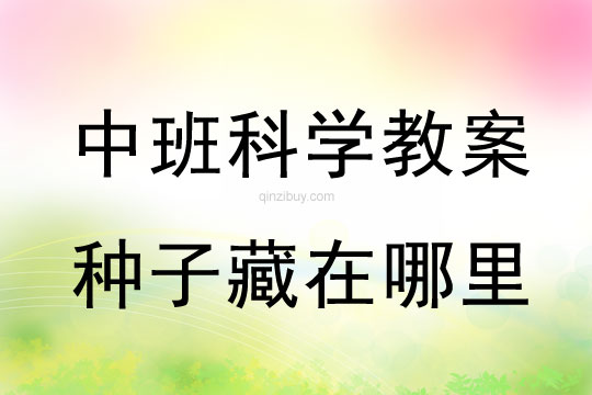 幼儿园中班科学教案：种子藏在哪里中班科学教案：种子藏在哪里