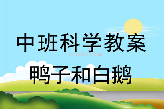 中班科学教案：鸭子和白鹅中班科学教案：鸭子和白鹅