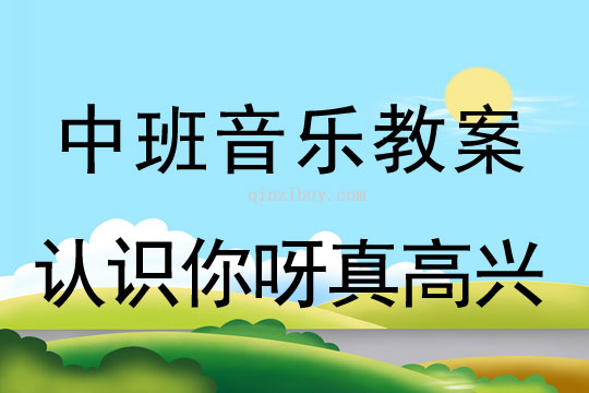 幼儿园中班音乐优质课：认识你呀真高兴中班音乐优质课：认识你呀真高兴