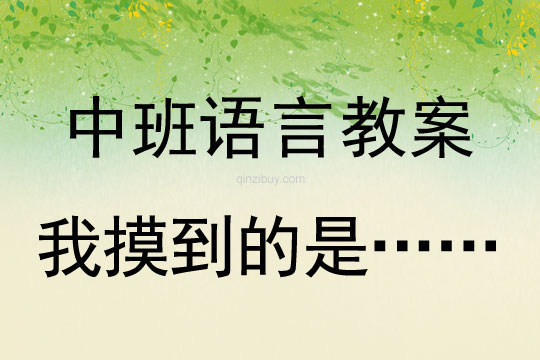 幼儿园中班讲述活动：我摸到的是……中班讲述活动：我摸到的是……