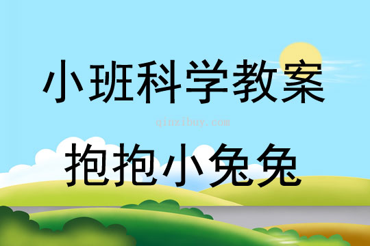 小班科学抱抱小兔兔教案反思