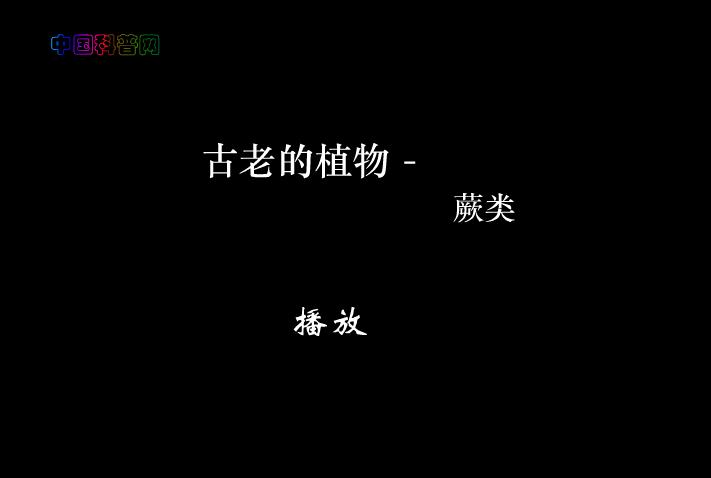 幼儿园科学古老的蕨类植物FLASH课件动画