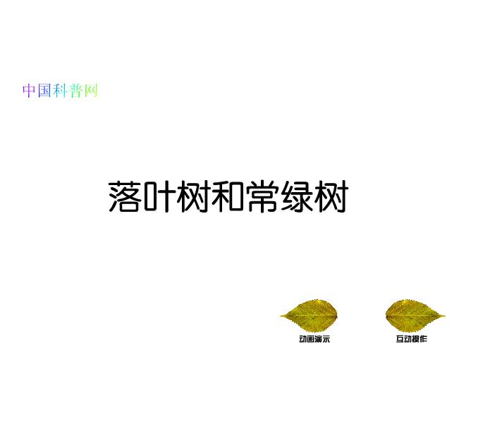 幼儿园科学教育落叶树和常绿树FLASH课件动画