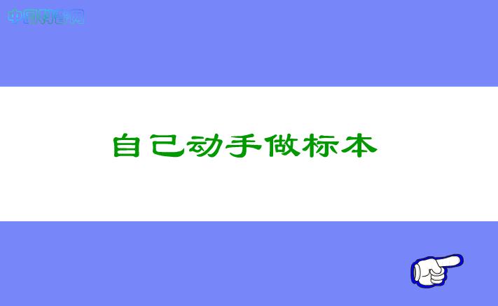 幼儿园科学教育自己动手做标本FLASH课件动画