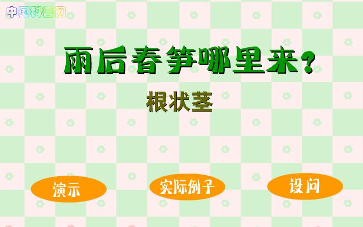 幼儿园科学雨后春笋哪里来FLASH课件动画