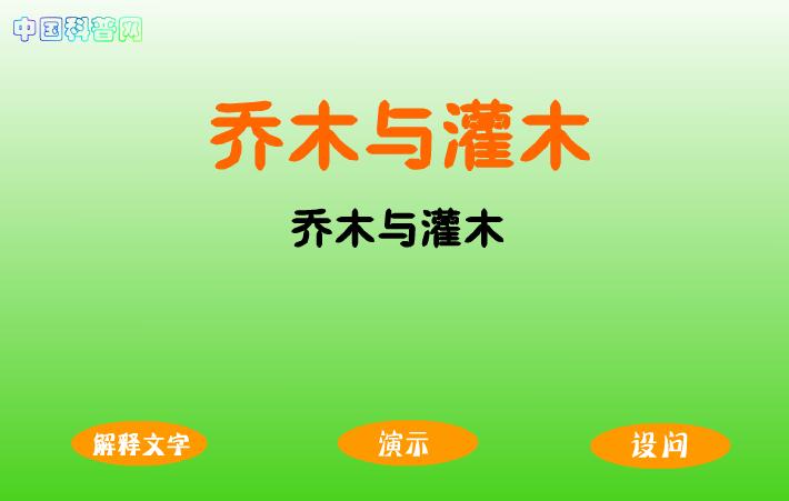 幼儿园科学文化教育认识树的构造FLASH课件动画