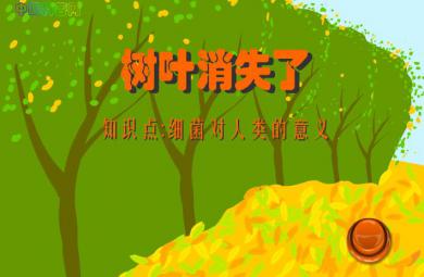 幼儿园科学树叶消失了-细菌对人类的意义FLASH课件动画