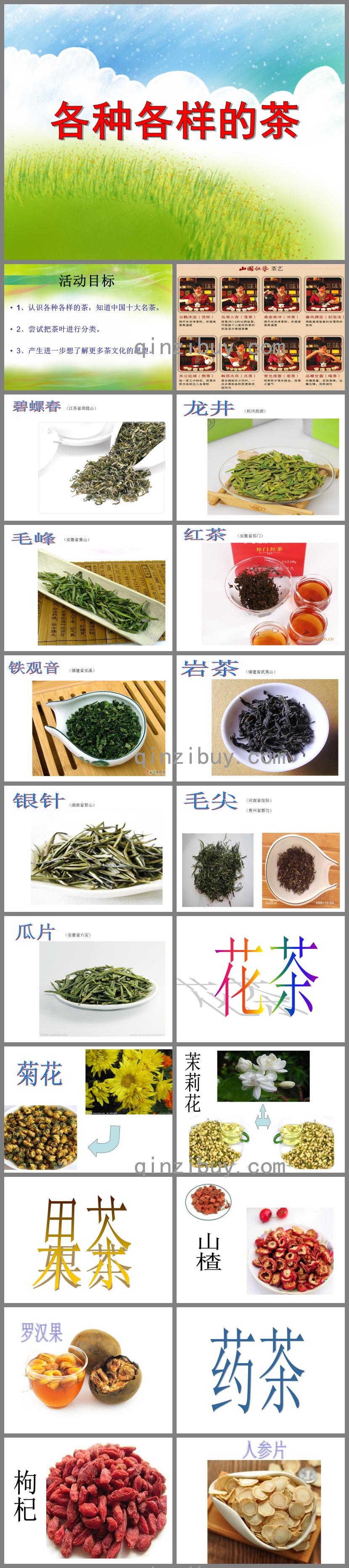 大班科学活动各种各样的茶PPT课件