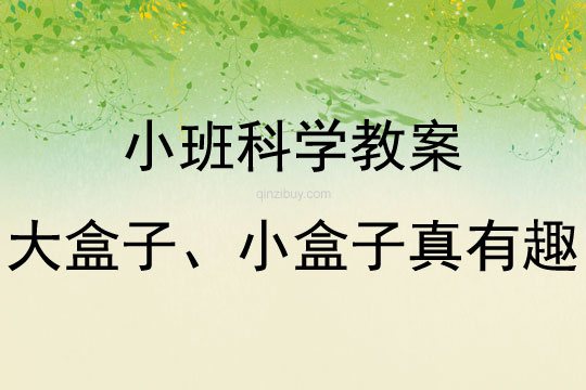 小班科学大盒子、小盒子真有趣教案反思