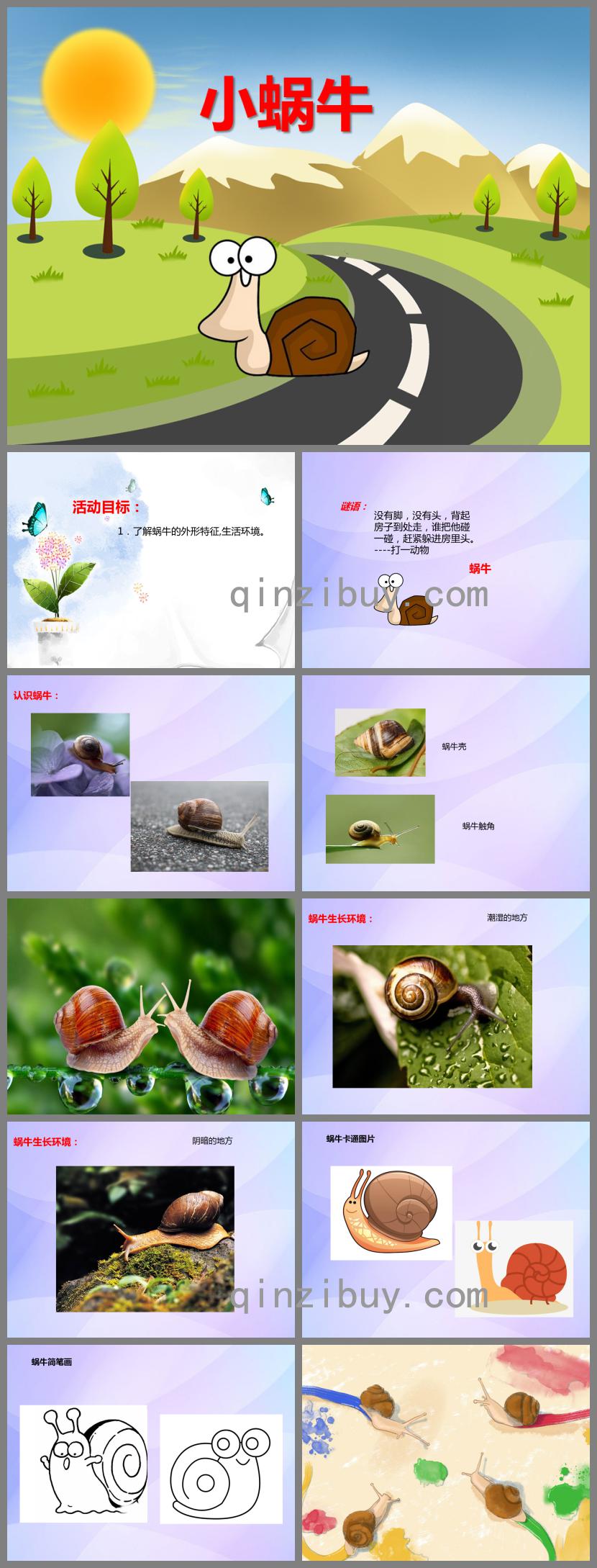 中班科学小蜗牛PPT课件