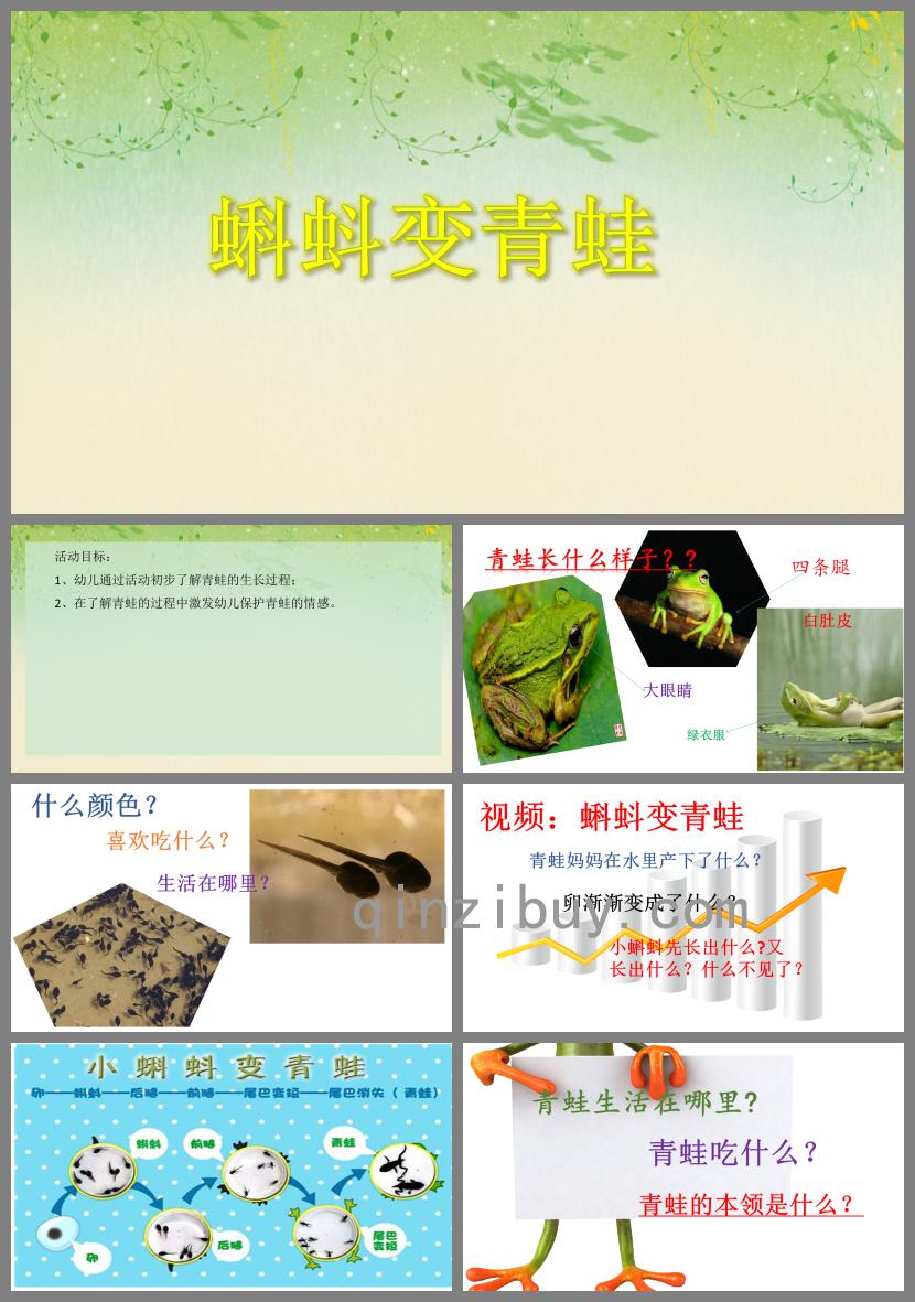 中班科学活动蝌蚪变青蛙PPT课件