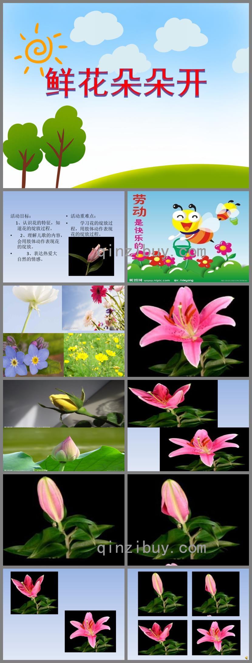 小班科学活动鲜花朵朵开PPT课件