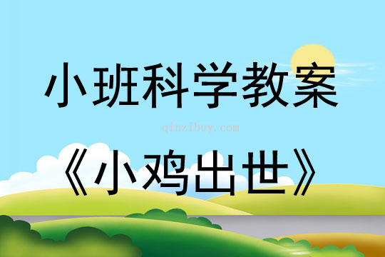 小班科学小故事小鸡出世教案