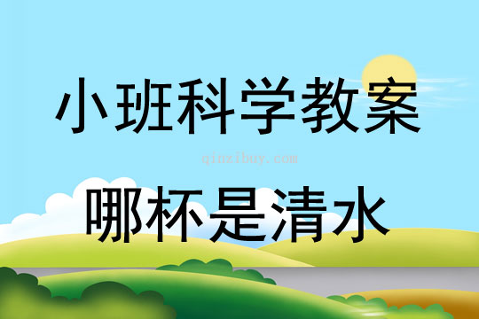 小班科学优质课哪杯是清水教案反思