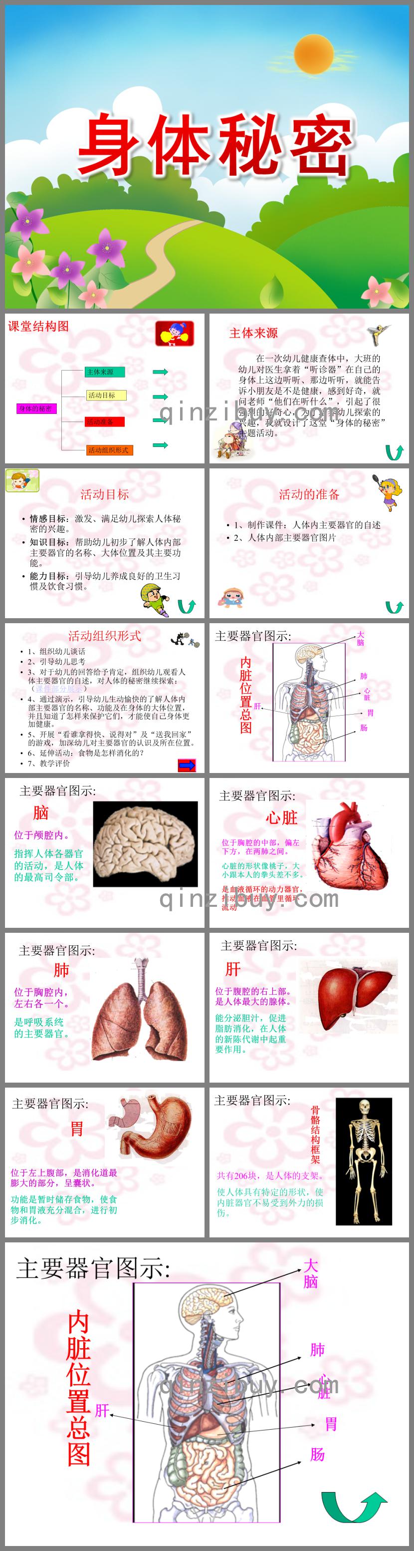 大班健康活动身体秘密PPT课件