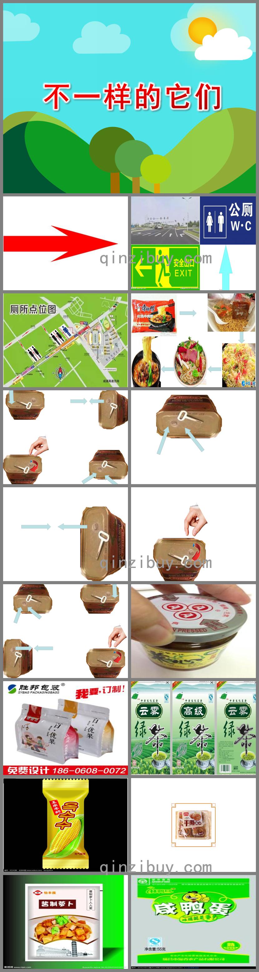 大班科学活动不一样的它们PPT课件