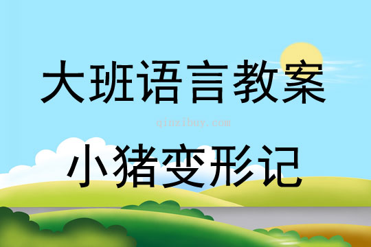 大班语言送你一把伞教案反思