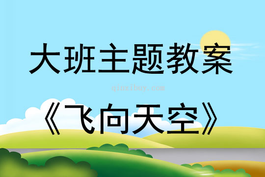 大班主题活动飞向天空——中国第一位宇航员杨利伟教案