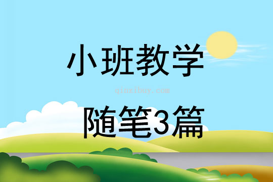 小班教学随笔3篇