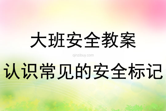 大班安全公开课认识常见的安全标记教案反思