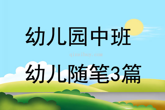 幼儿园中班幼儿随笔3篇