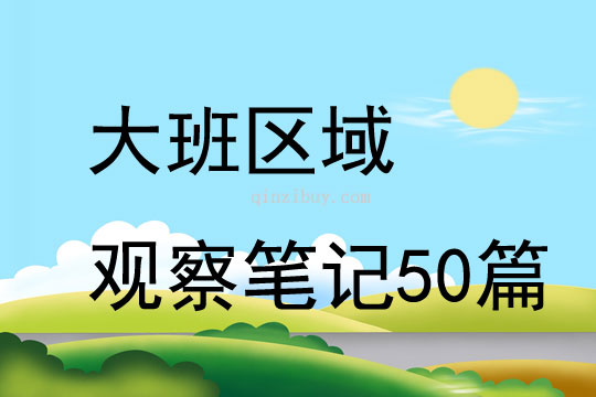 大班区域观察笔记50篇