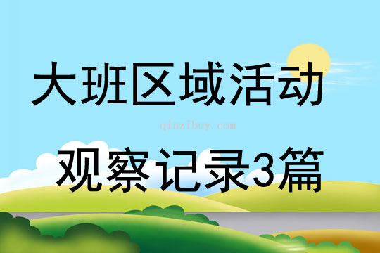 大班区域活动观察记录3篇