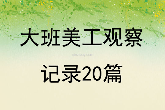 大班美工观察记录20篇