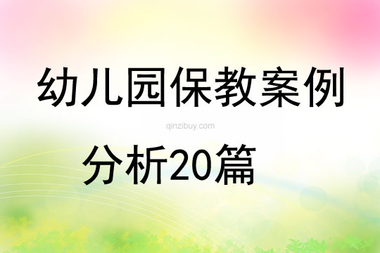 幼儿园保教案例分析20篇