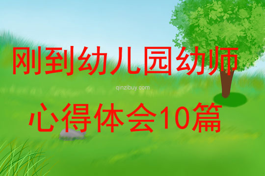 刚到幼儿园幼师心得体会10篇