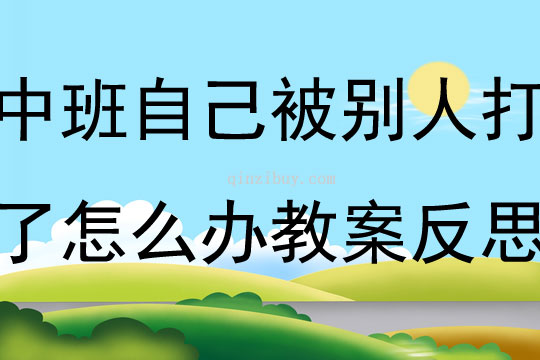 中班社会活动自己被别人打了怎么办教案反思