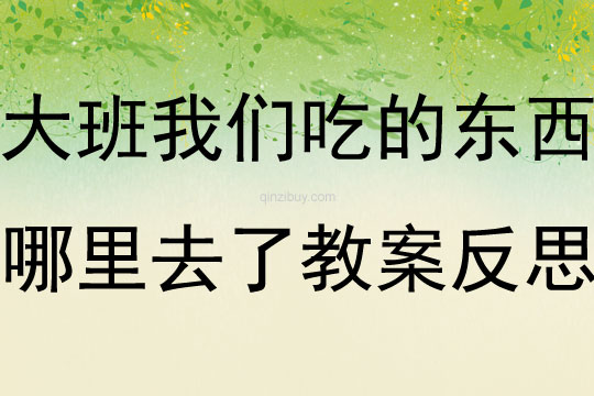 大班健康我们吃的东西哪里去了教案反思