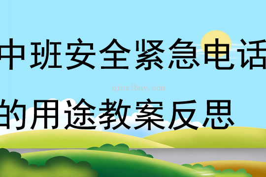 中班安全活动紧急电话的用途教案反思