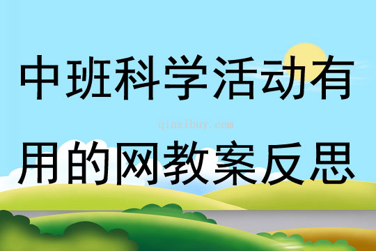 中班科学活动有用的网教案反思