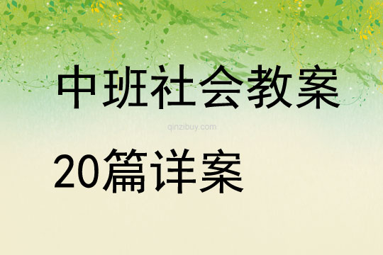 中班社会教案20篇详案